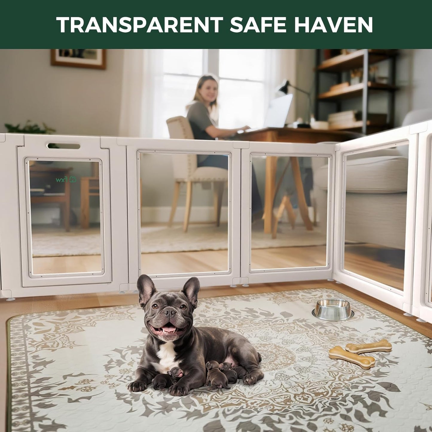 FXW AuraSpace Acrylic Indoor Unleashed Dog Playpen for Small and Medium Dogs, 30 Inch, 6 Panels, White