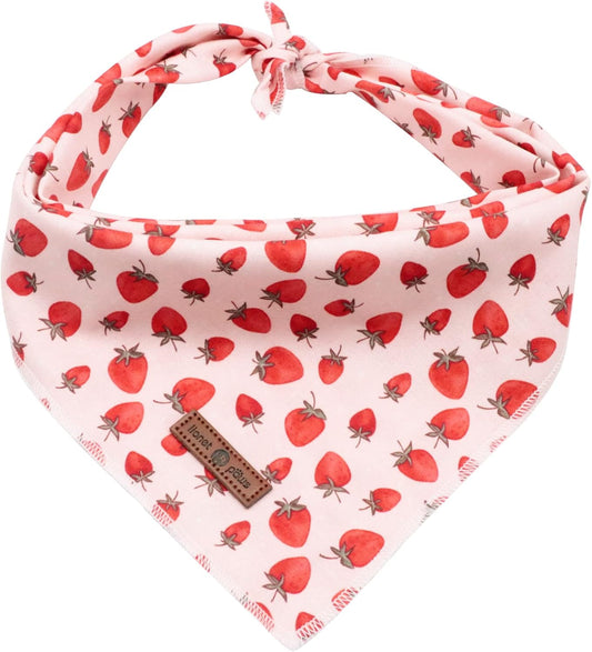 Lionet Paws Dog Bandana,Fabric Pink Dogs Kerchief for Small Medium Large Dogs,Dog Cotton Triangle Bibs Scarf for Girl Boy