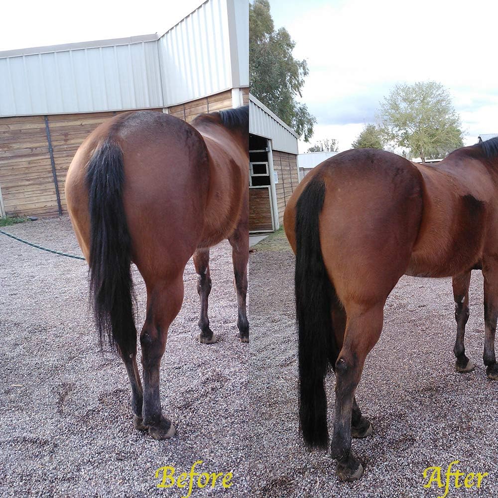 Horse Tail Extensions with Braided Horsehair Loop, Blunt Cut Bottom, 28-30 inches Long and 3/8 lb Weight