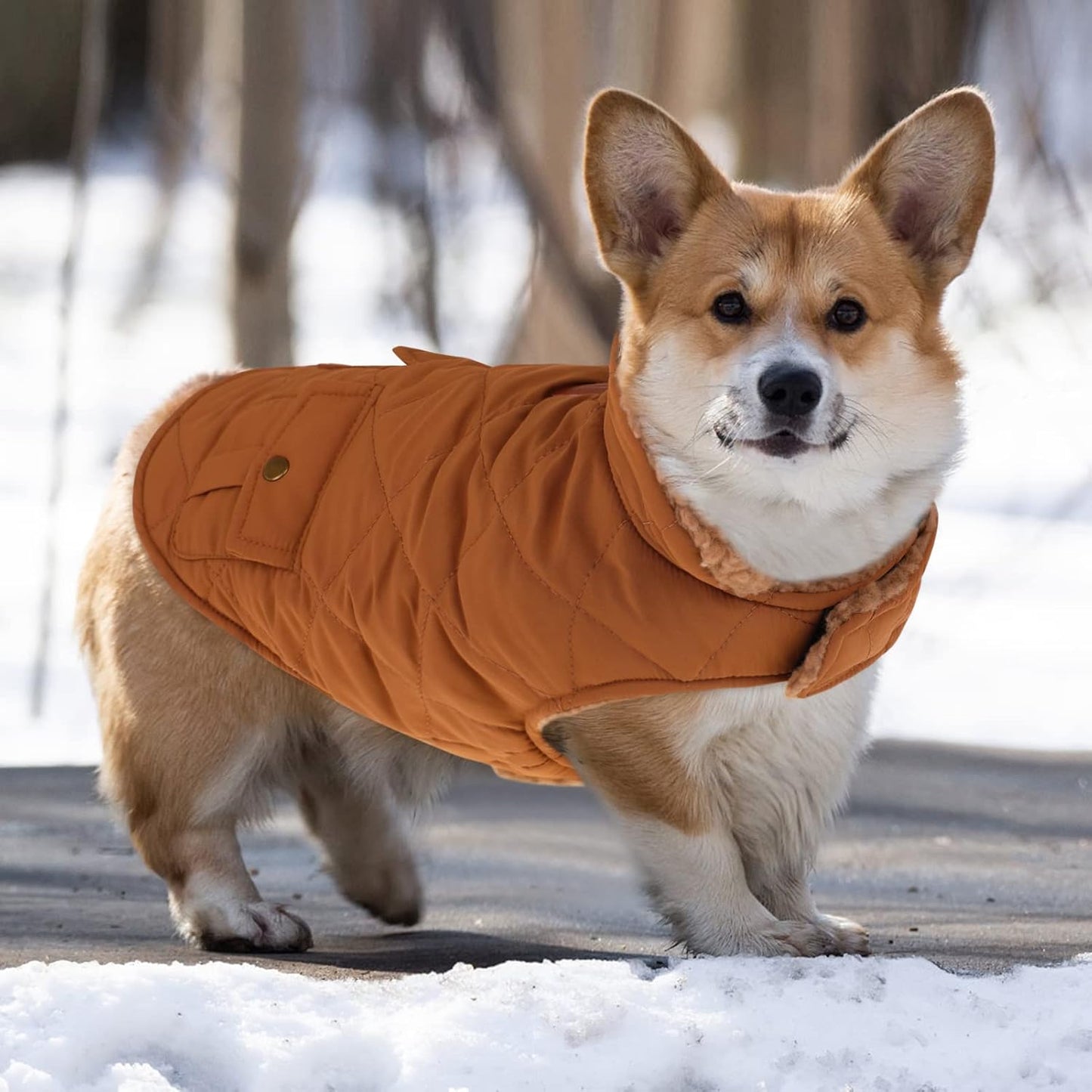 Queenmore Warm Puffer Dog Coat, Quilting Winter Jacket Ultra Thick Plush Lining with Storage Pockets (Brown, Small)