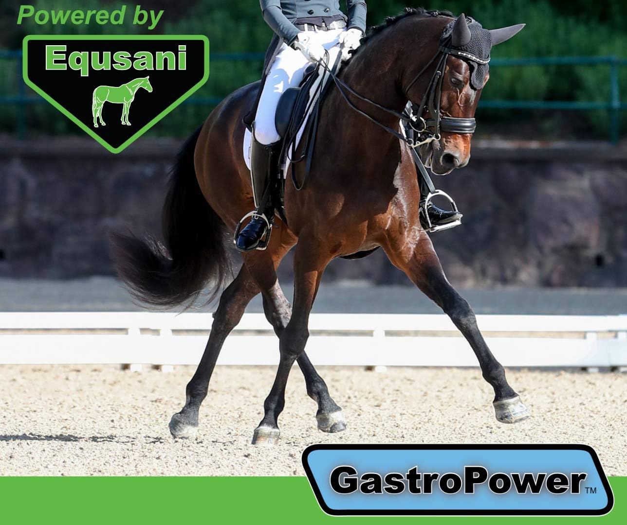 GastroPower Digestible Free Fatty Acid Feed Concentrate for Horses