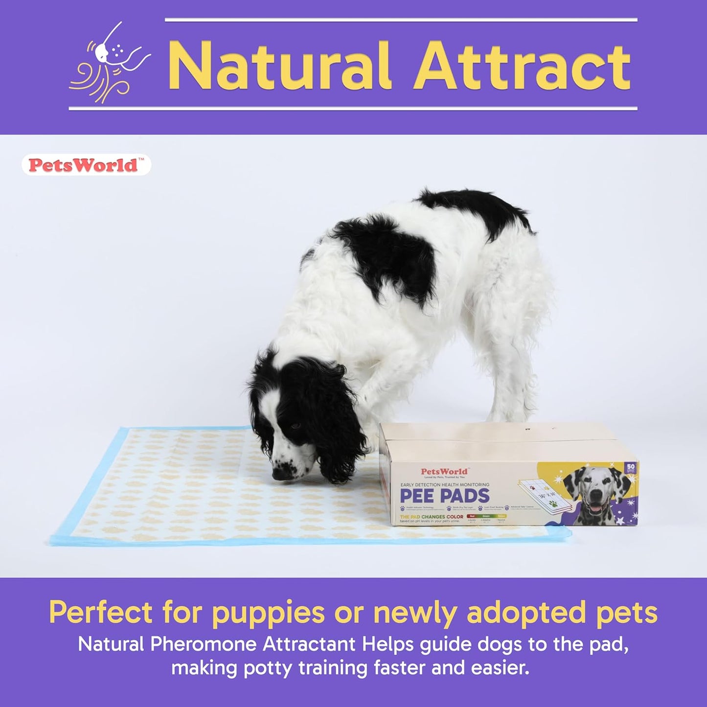 PETSWORLD Health Monitoring Dog Pee Pads – 37x54 Inch, 50 Count 3XL Color-Changing Potty Pads | Detects Health Issues | Leak-Proof, Ultra Absorbent, Odor Control