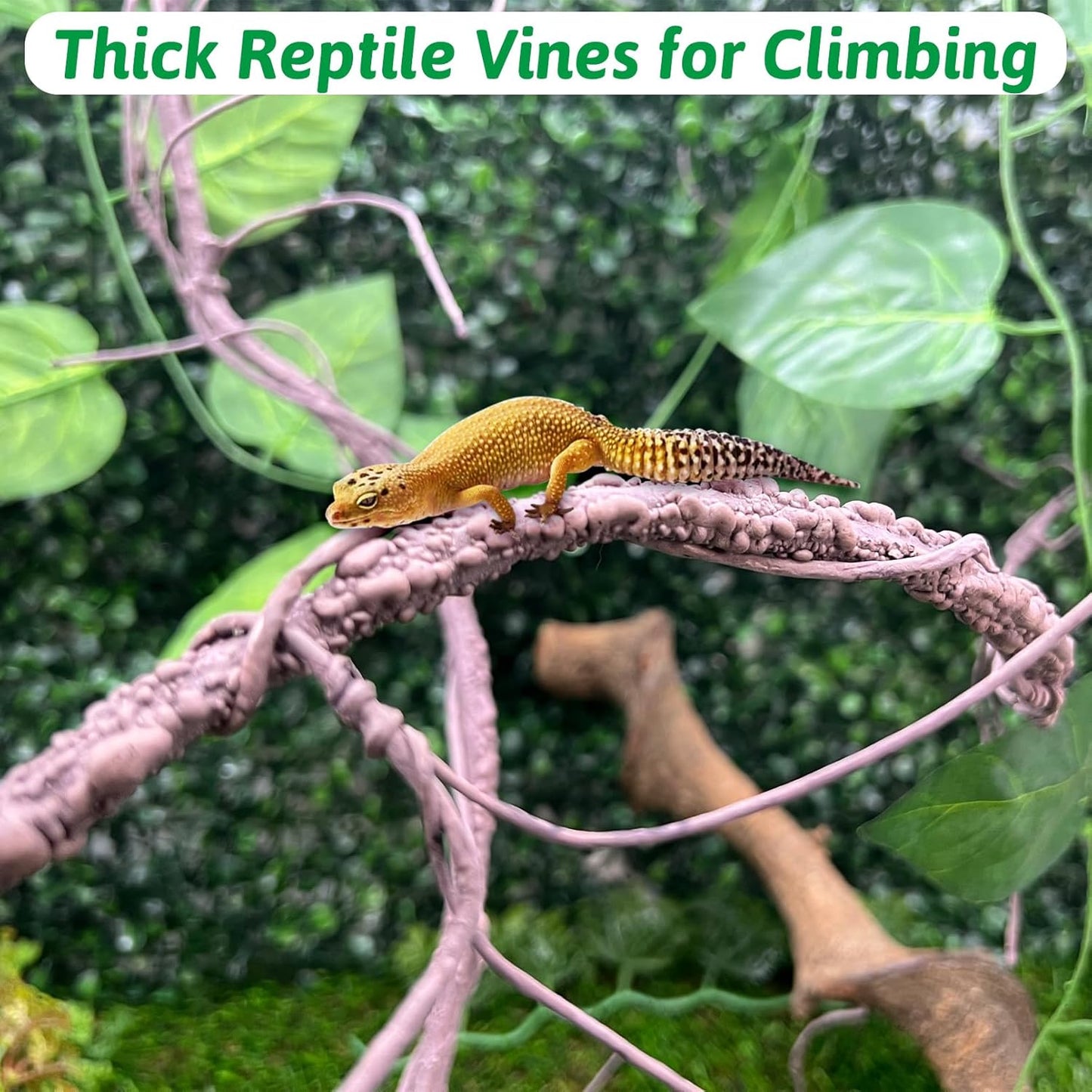 VCEPJH Long Reptile Vines Terrarium Plants 118 Inches Flexible Climbing Branch Snake Tank Accessories Greenery Habitat Decor for Bearded Dragon Chameleon Gecko Frog Lizard (S)