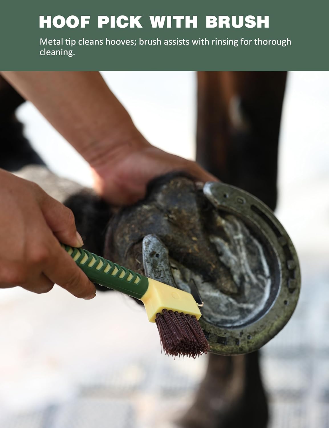 11PCS Horse Grooming Kit Curry Comb Sweat Scraper Horse Bathing Supplies Grooming Tools with Storage Bag Pasture Glow