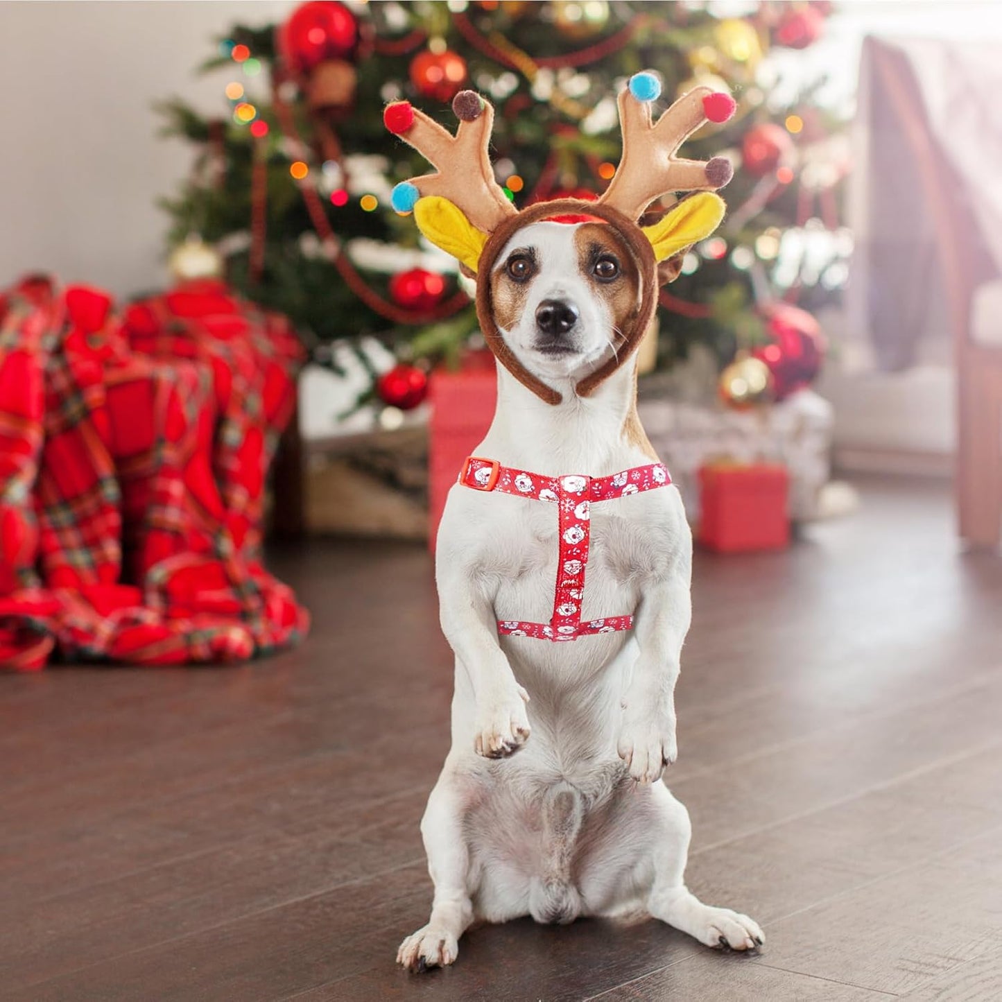 PUPTECK No Pull Dog Harness Soft Adjustable Basic Nylon Step in Puppy Vest Outdoor Walking with ID Tag, Christmas, M