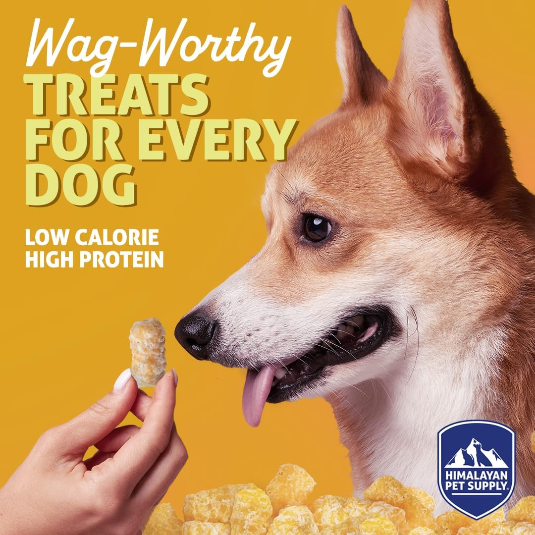 Barkeetos Dog Treats, Crunchy and Cheesy Pet Snacks Made with Real Himalayan Cheese, Gluten Free, Grain Free, Lactose Free, Natural Dog Food for All Breeds and Sizes