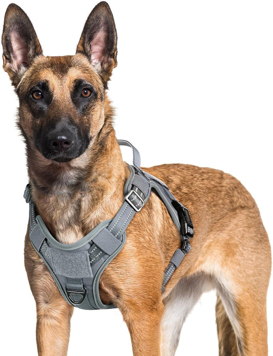 rabbitgoo Dog Harness for Large Dogs No Pull, Tactical Service Pet Vest with Molle and Control Handle, Adjustable and Reflective Military Harness for Easy Walking and Training, Grey, XL