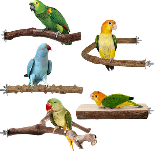 Bird Perches, 5pcs Natural Wood Birds Stand Branch, Bird Perch Chewing Stick Cage Accessories Parrot Climbing Standing Branches Paw Grinding Fork Sets for Cockatiels Ringneck Parrots