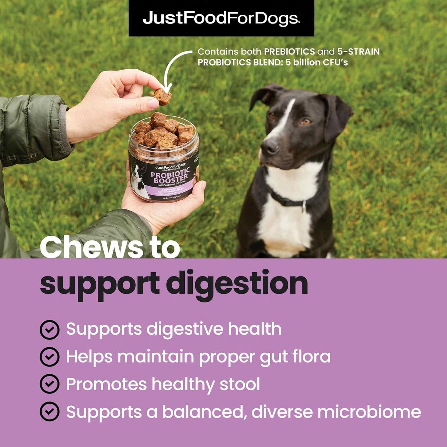 JustFoodForDogs Probiotic Booster Gut Health Soft Chews Supplement for Dogs, Digestive Health Support, Diarrhea, Human Grade Ingredients - 45 Count