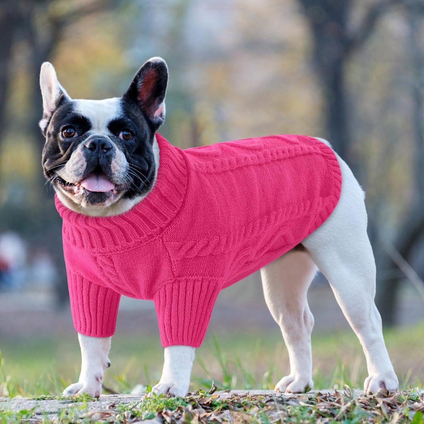 Queenmore Small Dog Pullover Sweater, Cold Weather Cable Knitwear, Classic Turtleneck Thick Warm Clothes for Chihuahua, Bulldog, Dachshund, Pug (Fuchsia, X-Small)