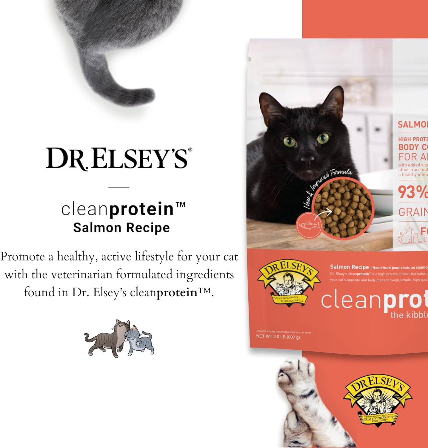 Dr. Elsey'S Cleanprotein Salmon Formula Dry Cat Food, 2 Pound (Pack of 1)