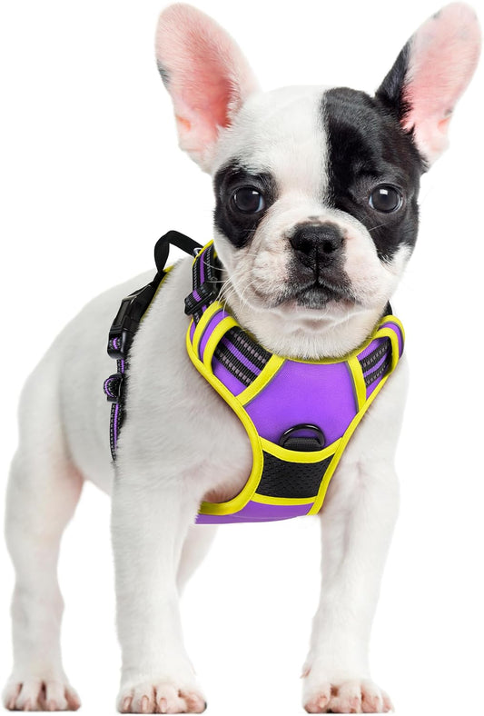 rabbitgoo Dog Harness No Pull with 2 Leash Clips, Adjustable Soft Padded, Reflective Oxford No Choke Pet Vest with Easy Control Handle for Small Dogs, Purple & Yellow, S