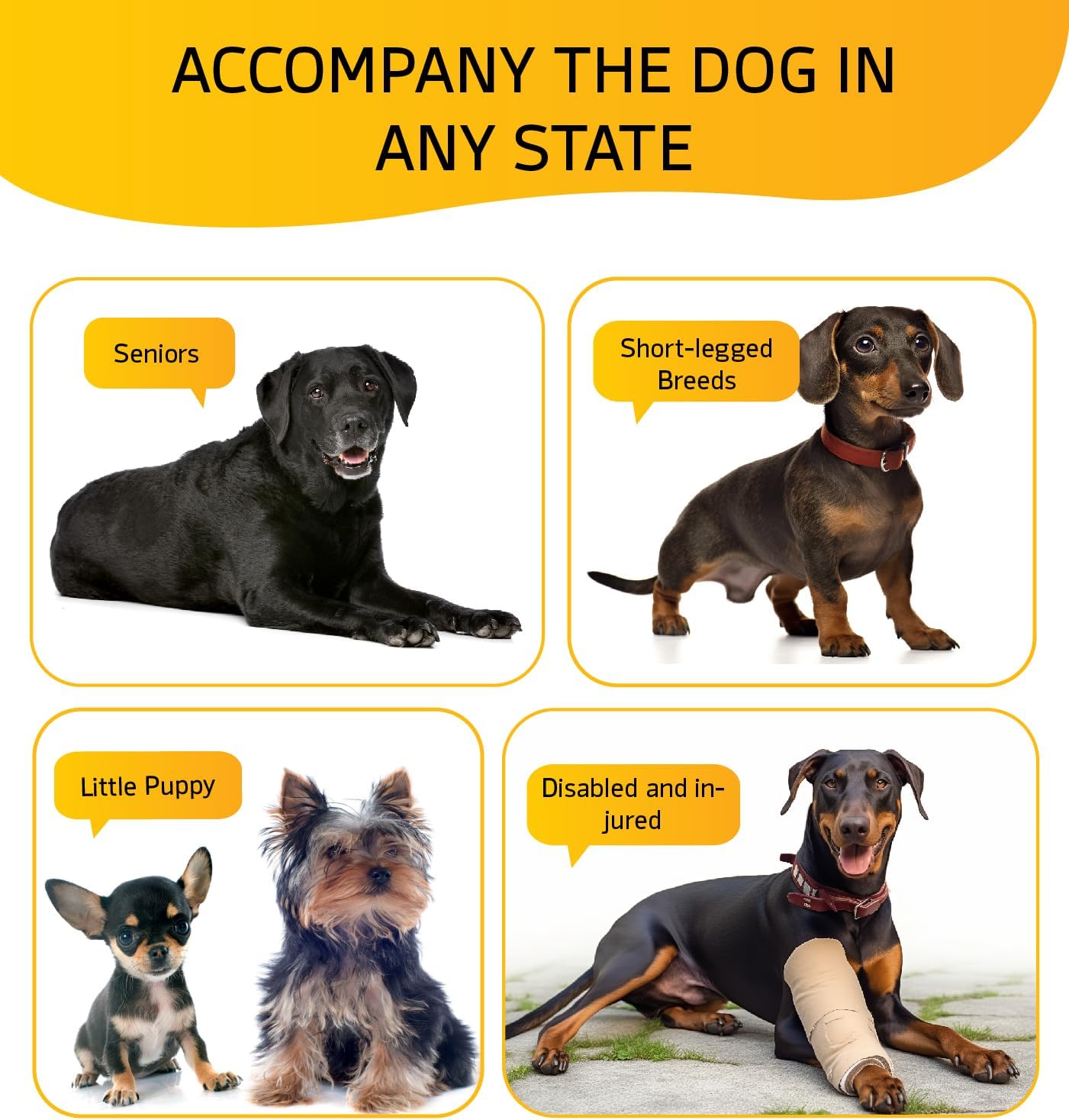 Dog Stairs for High Bed, Dog Steps for Bed Couch Sofa, 35D Foam Extra Wide Pet Steps for Small Dogs and Cats, Pet Stairs with Non-Slip Bottom Grey, 2 Steps