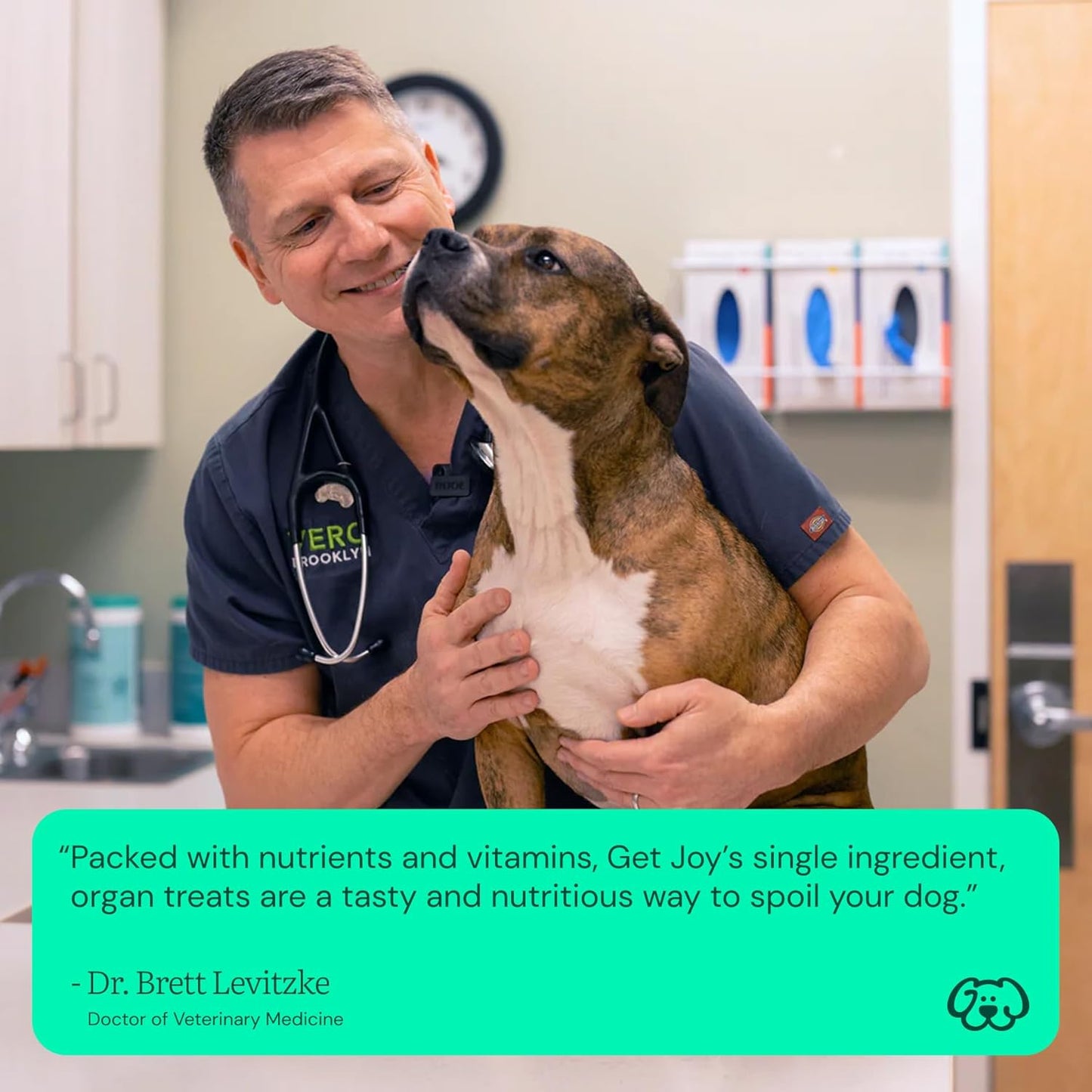 Get Joy Freeze Dried 100% Beef Kidney Dog Treats, 4oz | Single Ingredient Organ Meat, High Protein Raw Dog Food Topper, Snack & Training Rewards | Grain Free, Gluten Free, Filler Free