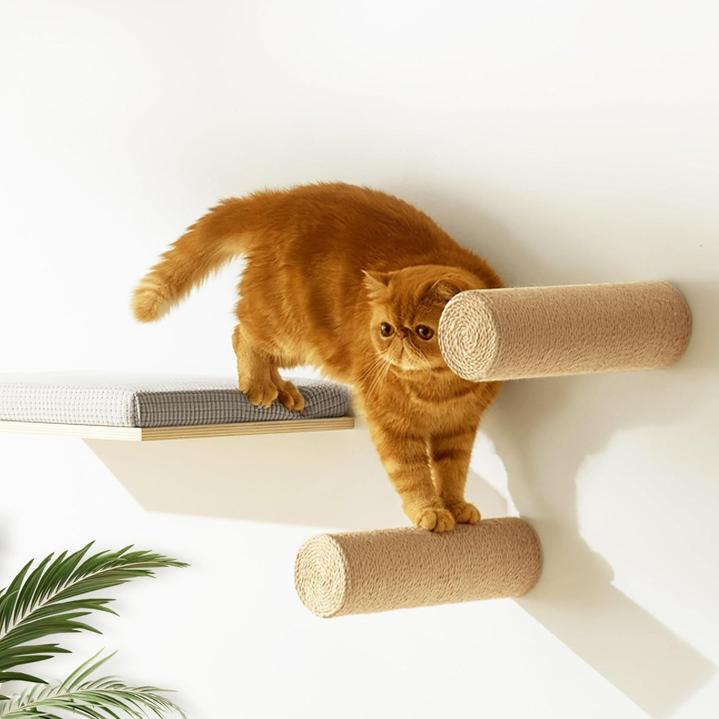 2-Pack Sisal Wall-Mounted Cat Climbing Wall Steps, Cat Wall Steps/Stairs with Sisal Scratching Surface, Wall Shelf Furniture for Climbing & Play for Kittens & Cats, Hidden Mounts