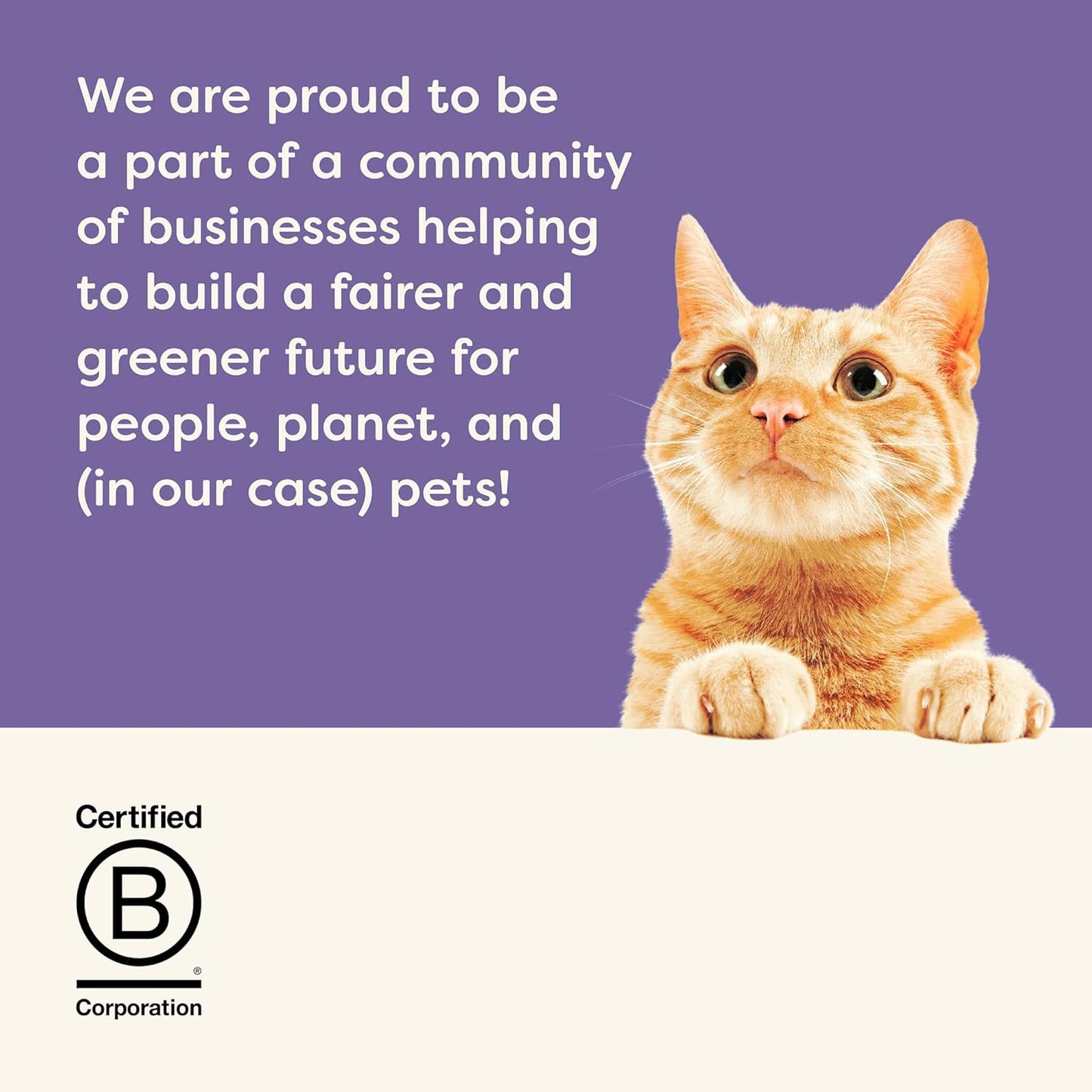 Applaws Natural Wet Cat Food in Gravy, Limited Ingredient Canned Wet Cat Food, No Additives, Made with Natural Ingredients, Variety Selection in Gravy Cans (24 x 2.47oz Cans)