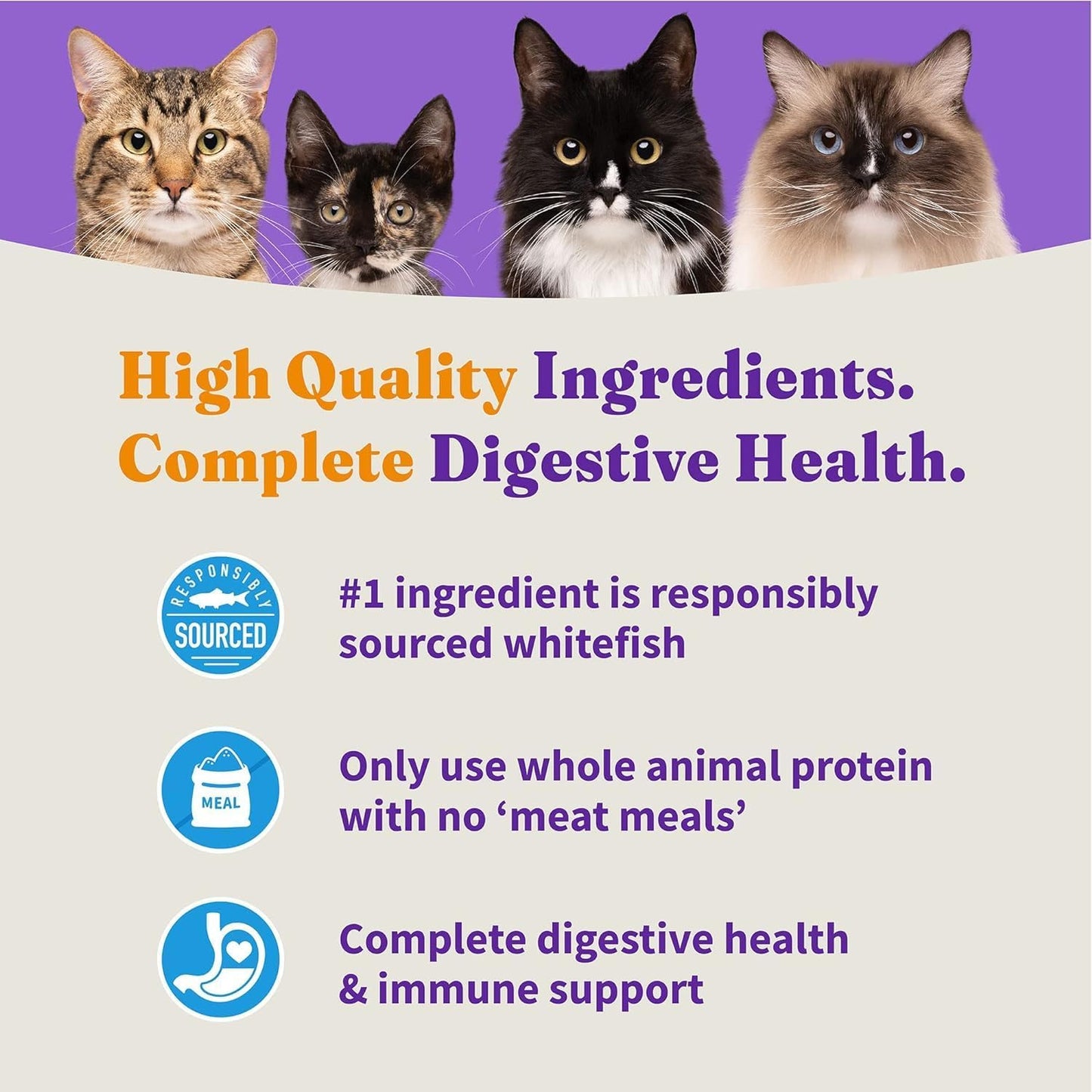 Halo Holistic Cat Food Wild Caught Salmon & Whitefish Formula, Healthy Grains Dry Cat Food, For Sensitive Stomach Support, Kibble for Adult Cats, 3 lb Bag