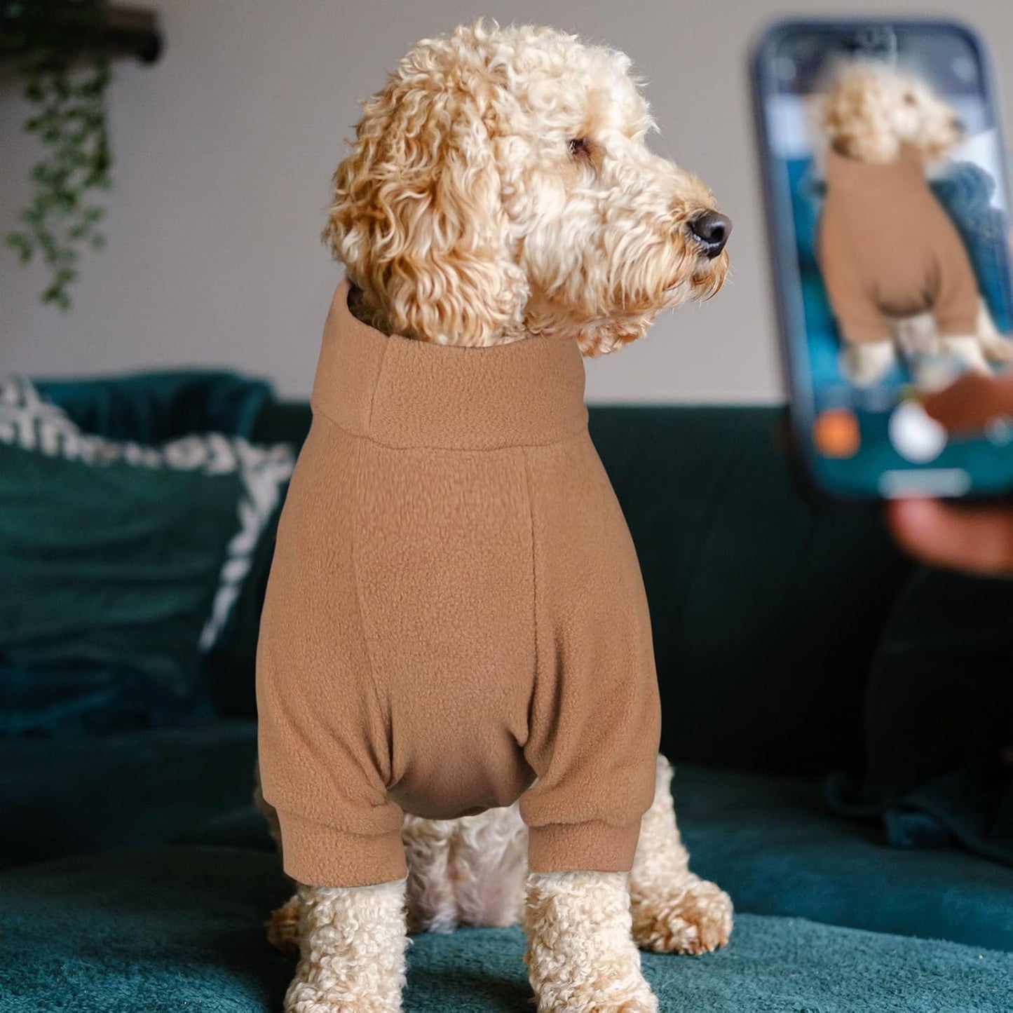 3 Pack Dog Sweater Fleece Pet Clothes Turtleneck Soft Warm Pet Sweatshirt Dog Sweaters for Small Dogs Sweaters for Medium Dogs Boy Girl(Gray+Blue+Coffee,S/M)