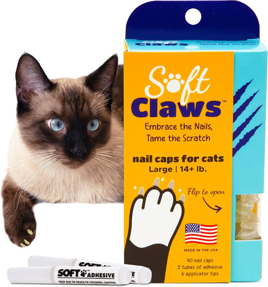 Soft Claws Cat Nail Caps for Large Cats – (40 Caps, Clear) - Made in USA - Veterinarian-Developed | Protects Furniture & Skin - Easy to Apply, Long-Lasting Anti-Scratch Soft Cat Claw Covers
