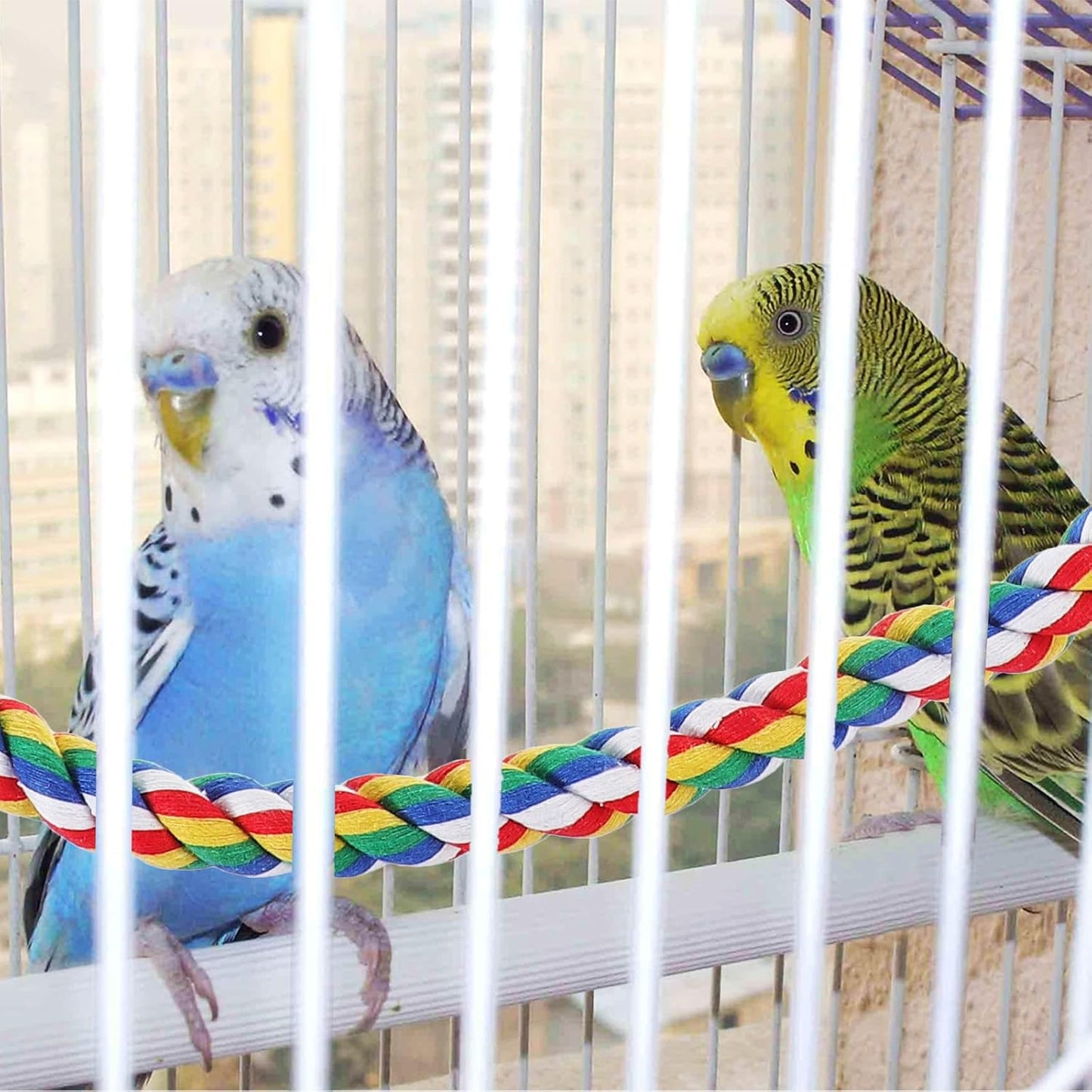 iplusmile Bird Rope Perches Toys for Parrots, Birdcage Spiral Swing Bungee Colorful Rope Toy for Parrots, Cockatiels, Parakeets, Budgie Cages Accessories (40inch)