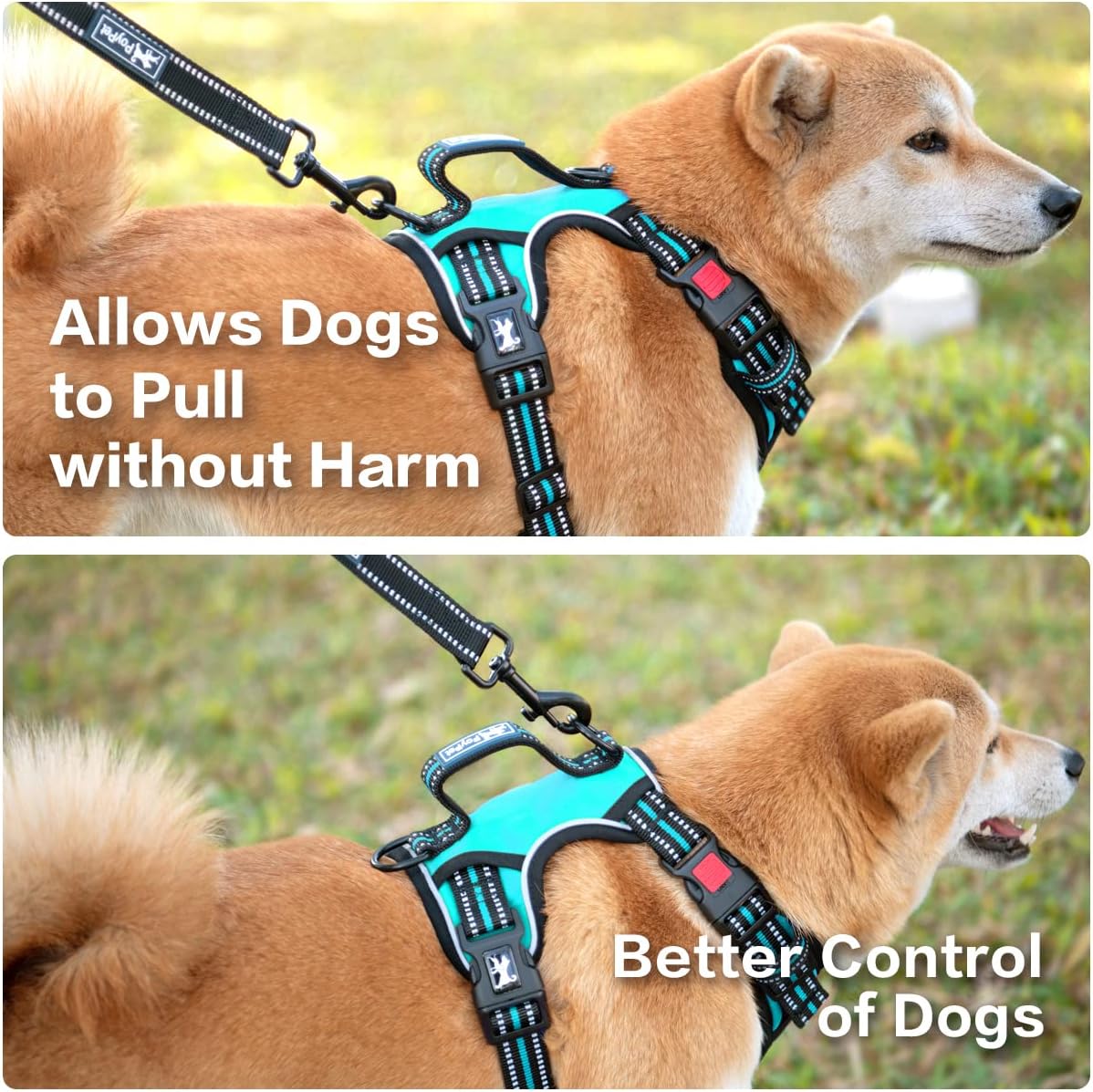 PoyPet No Pull Dog Harness, No Choke Front Clip Reflective Dog Vest with Soft Padded Vertical Handle, 3 Leash Attachments for Small Medium Large Dogs (Mint Blue,XL)