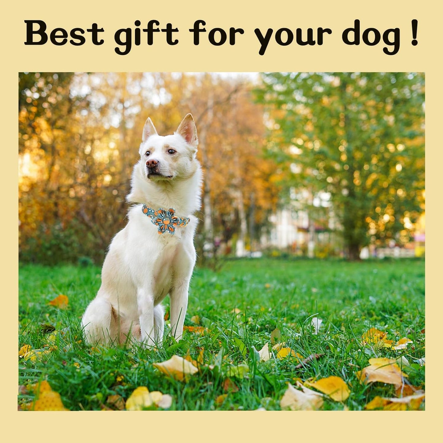 Unique style paws Halloween Dog Collar with Flower Tie Pumpkin Cotton Collar Adjustable Puppy Collar for Small Medium Large Dogs-S