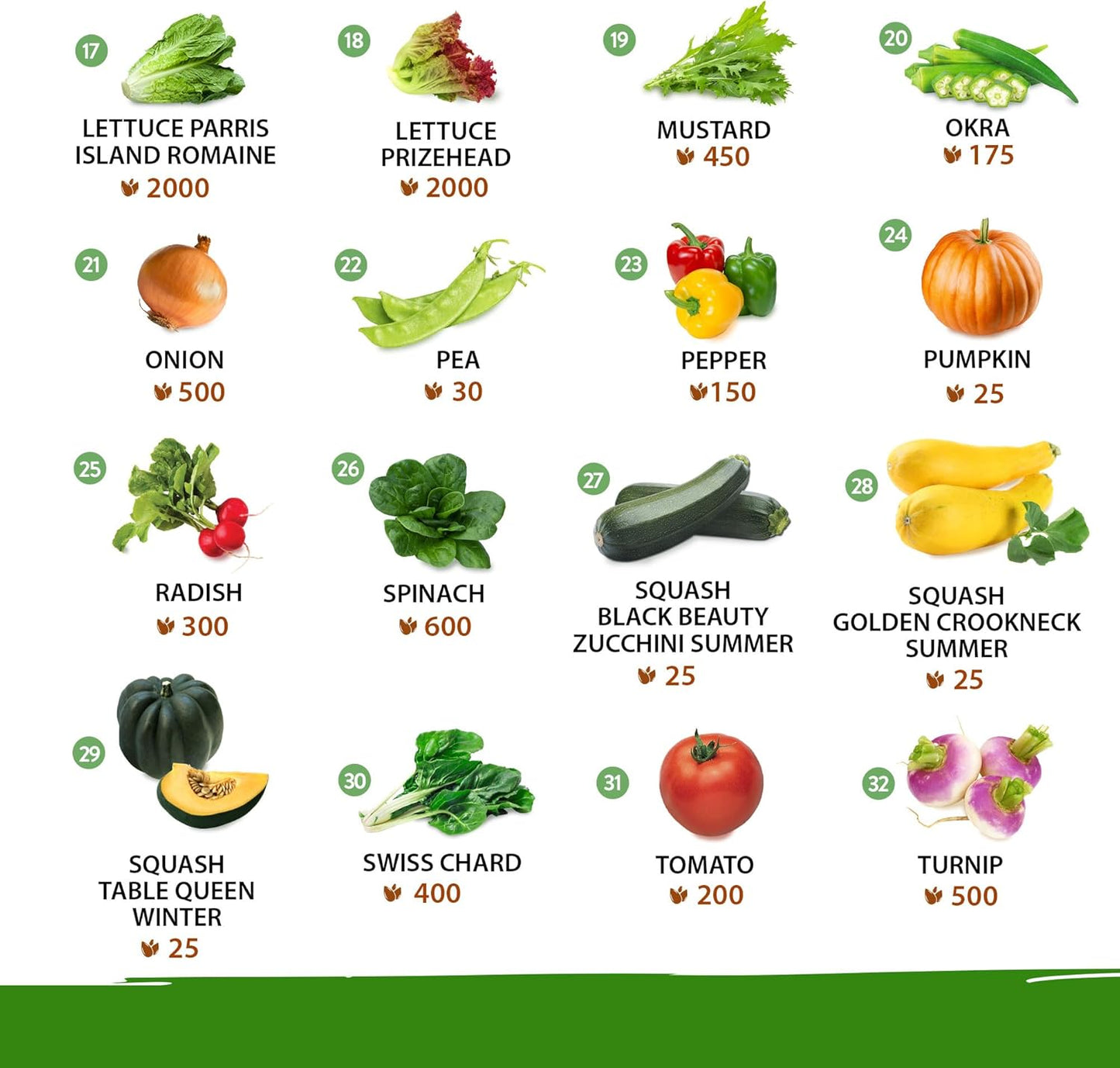 32 Heirloom Vegetable and Fruit Seeds for Planting - 16,000+ Seeds | Non-GMO Survival Seed Vault | High Germination | 32 Varieties of Vegetable Seeds for Your Home Survival Garden