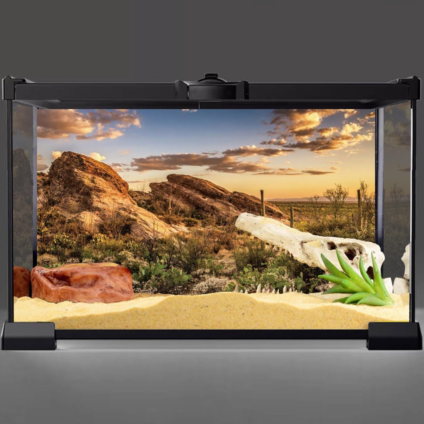 AWERT Reptile Habitat Background Blue Sky Oasis Cactus Sun and Desert Terrarium Background 30x18 inches Durable Polyester Background