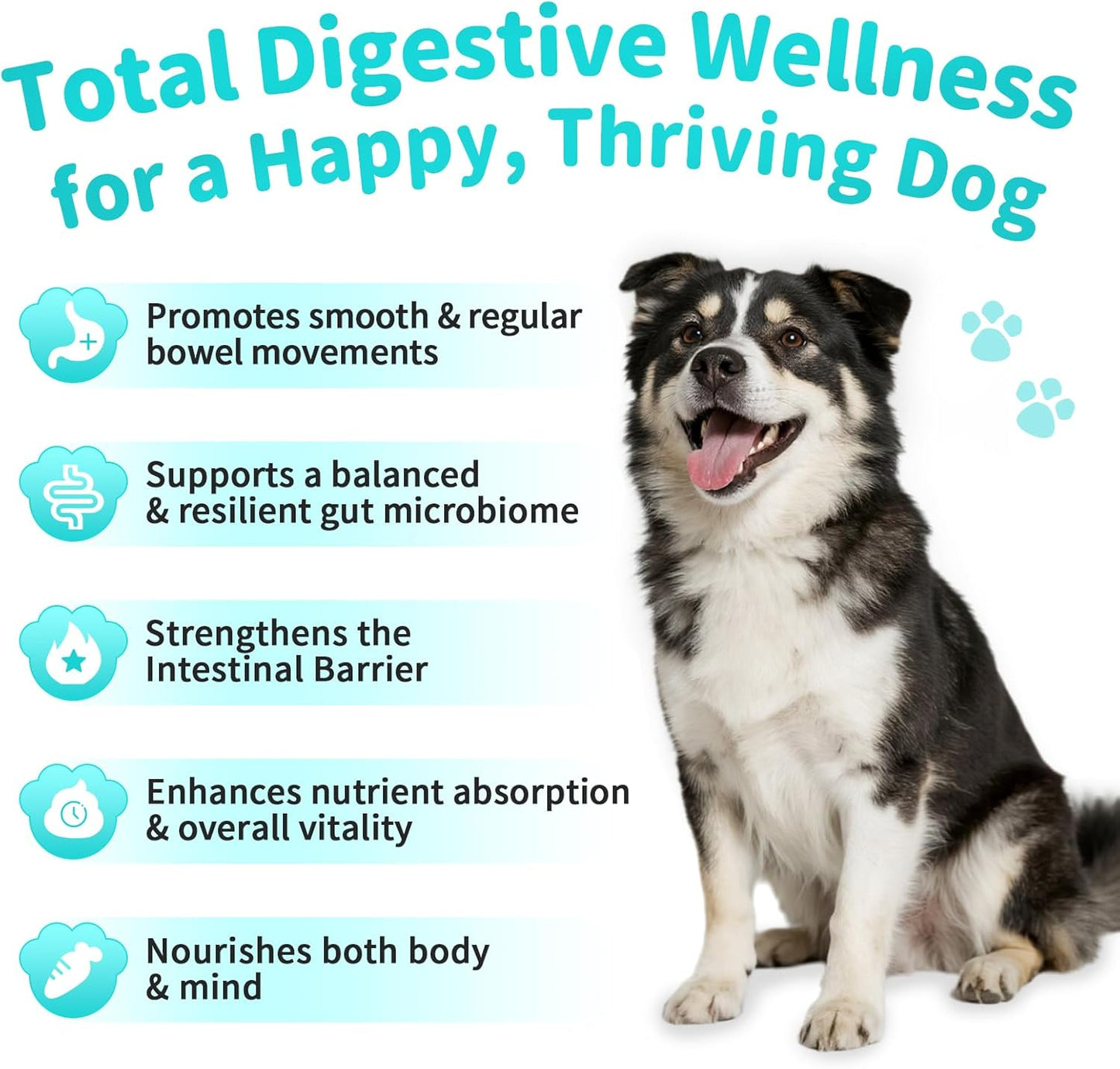 Probiotics for Dogs, Digestive Enzymes for Gut Health Support, Dog Fiber Supplement with Pumpkin for Diarrhea & Bowel Support, Upset Stomach & Gas Relief, Constipation - 90 Count Chicken Flavor