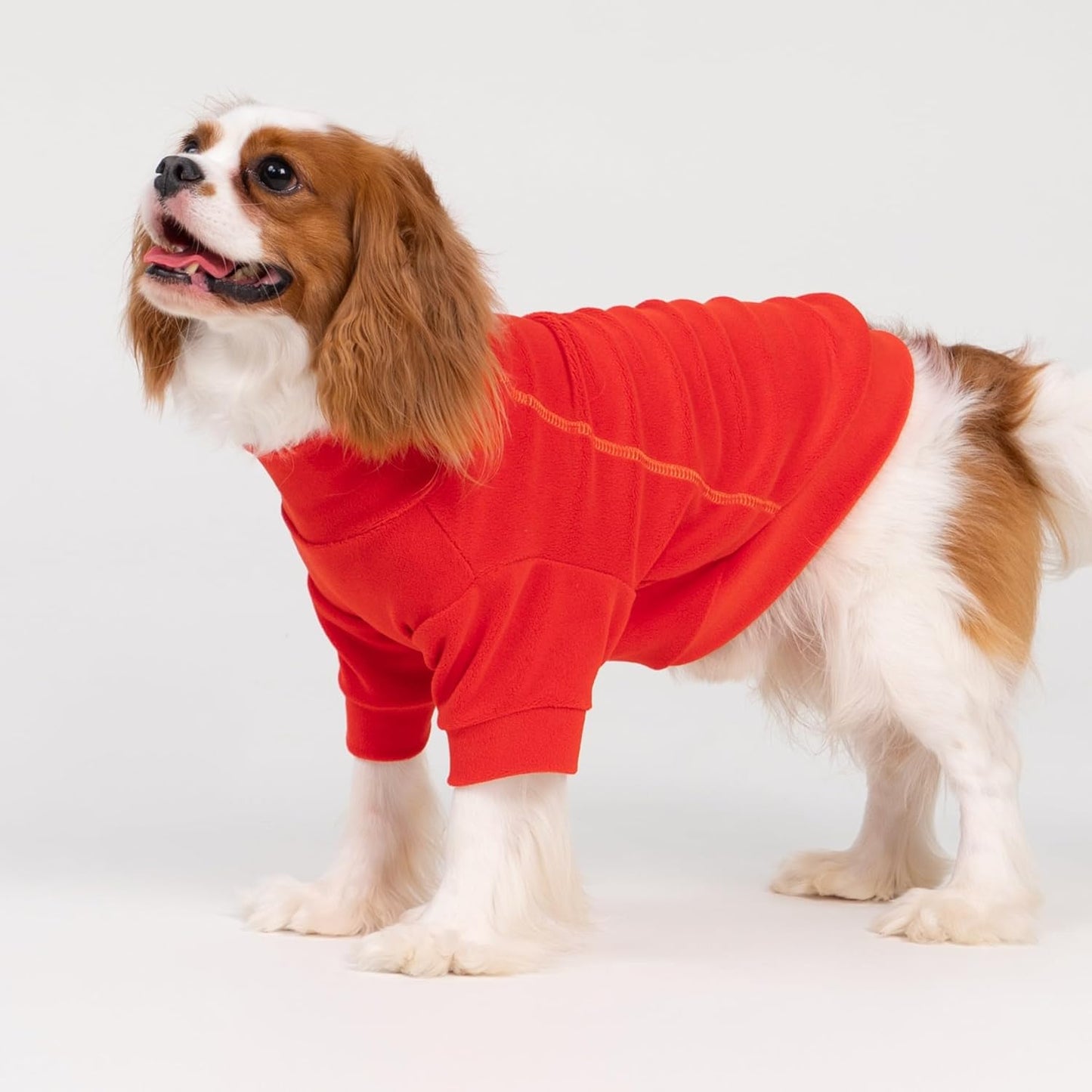 Fitwarm 3 Pack Classic Fleece Dog Sweater, Winter Clothes for Small Dogs Boy Girl, Turtleneck Dog Sweatshirt, Pet Apparel, Orange Red, Royal Blue, Neon Yellow, Large