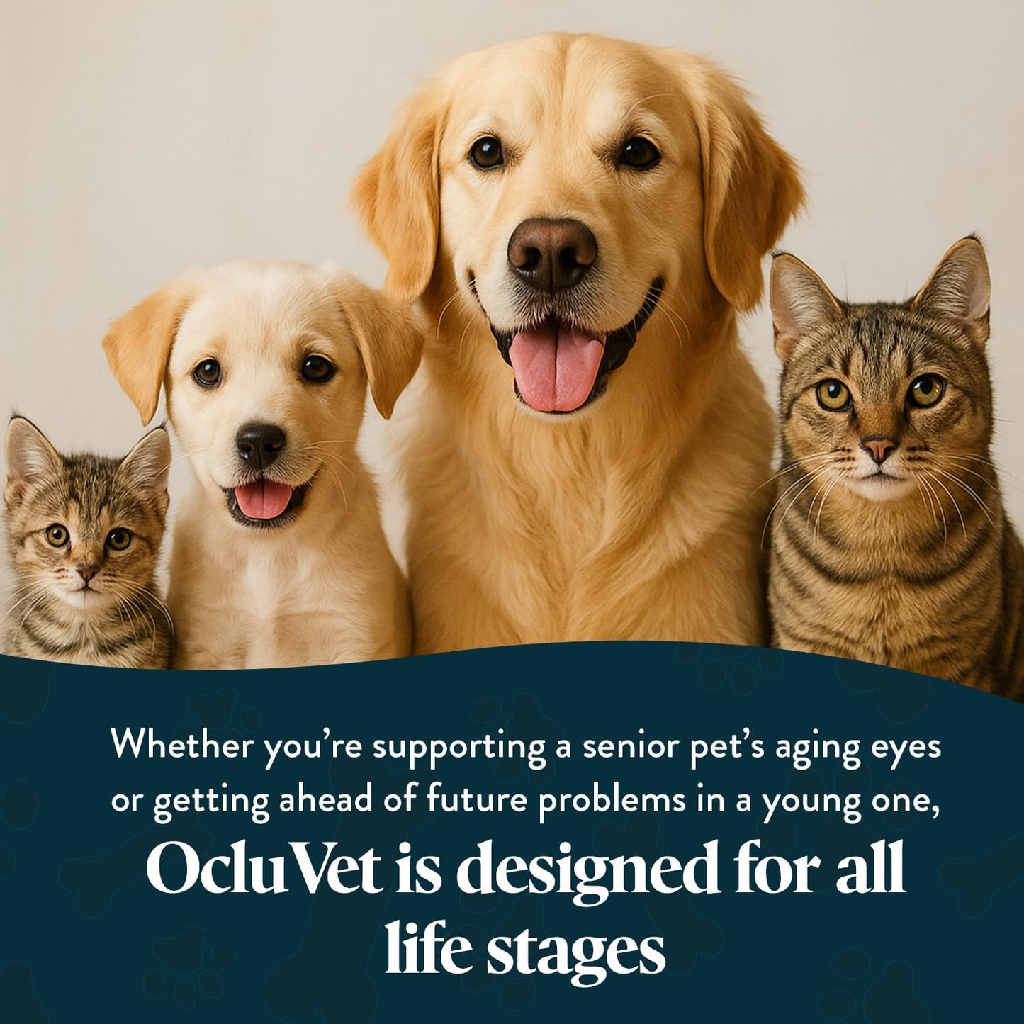 Vision Chews Eye Supplements for Dogs & Cats, Natural Chicken Flavor, Contains Omega 3, Lutein, Antioxidants, & More, Cat & Dog Eye Supplements, No Preservatives, Made in USA, 1 Bag, 15 Chews