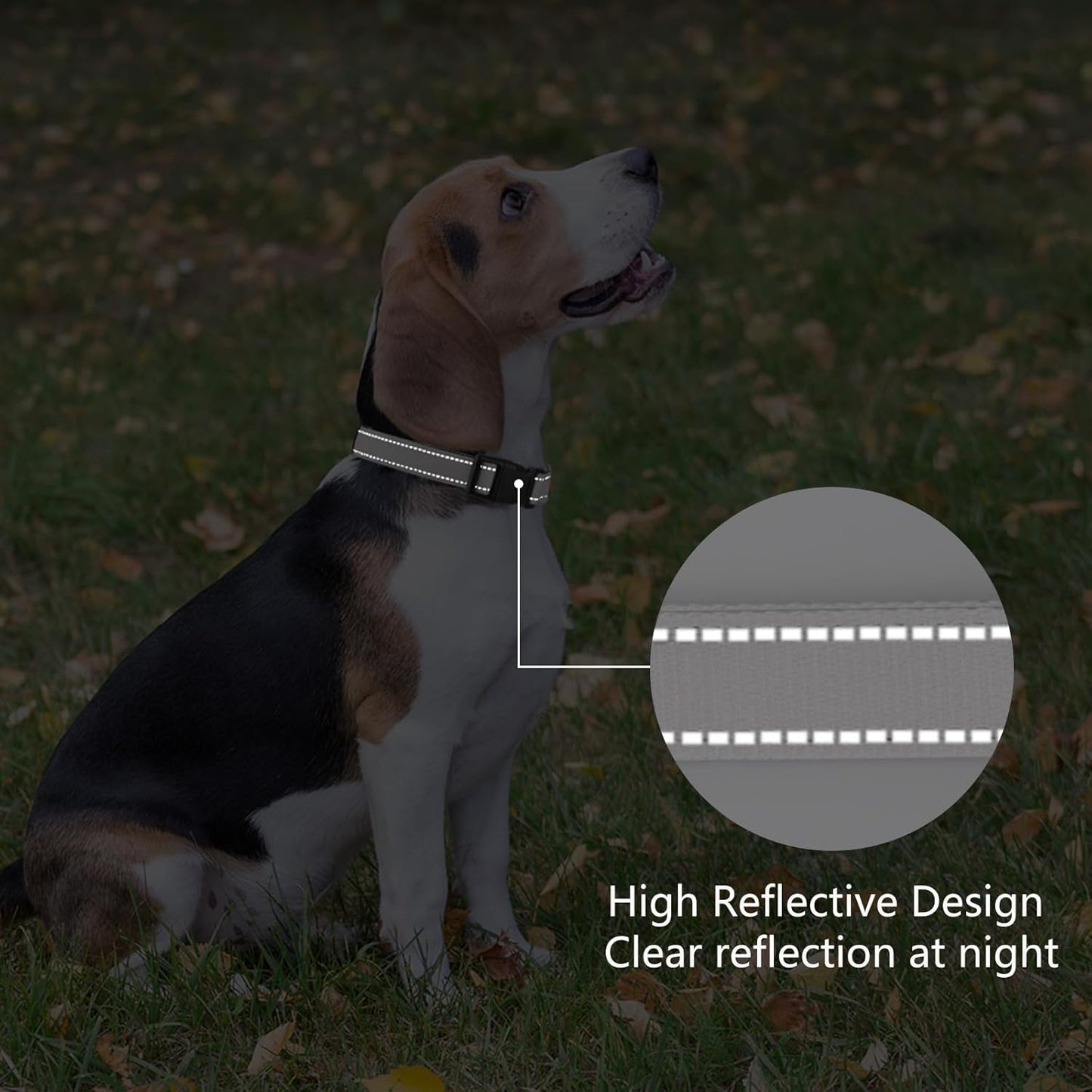 Reflective Dog Collar Padded with Soft Neoprene Breathable Quick Release Basic Dog Collars for Puppy Small Dogs Girl Boy Xs Silver