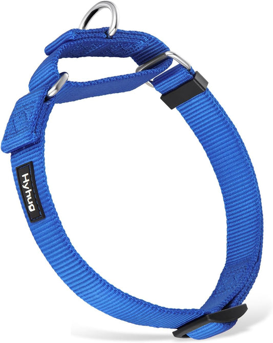 Hyhug Martingale Dog Collar Without Buckle: Escape Proof, No Slip Heavy Duty Nylon, Colorfast and Adjustable Pet Supplies for Medium Breeds (Medium,Bright Blue)