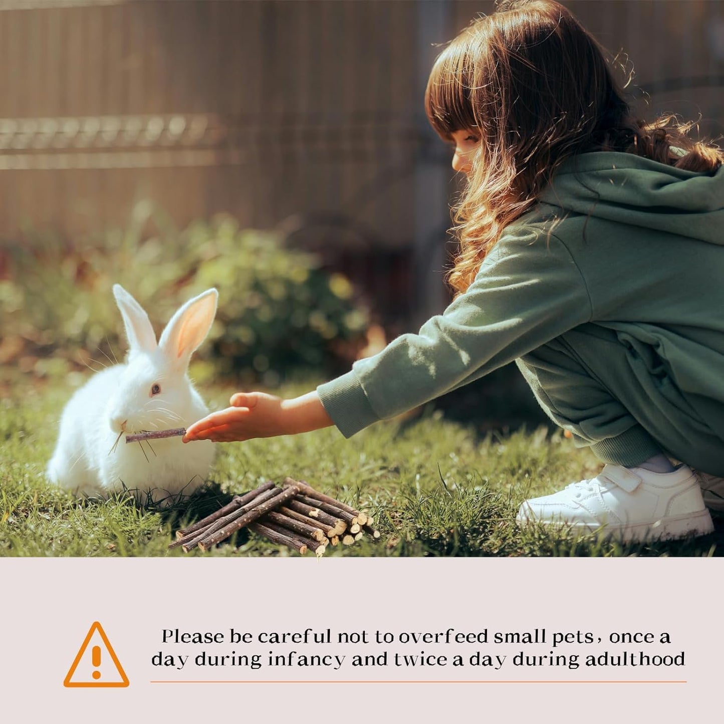 Natural Apple Wood Chew Sticks 550g (19.4oz) for Rabbits, Hamsters, Chinchillas, Guinea Pigs - Small Animal Dental Toys, Safe Untreated Teeth Grinding & Boredom Relief, Rodent Molar Health