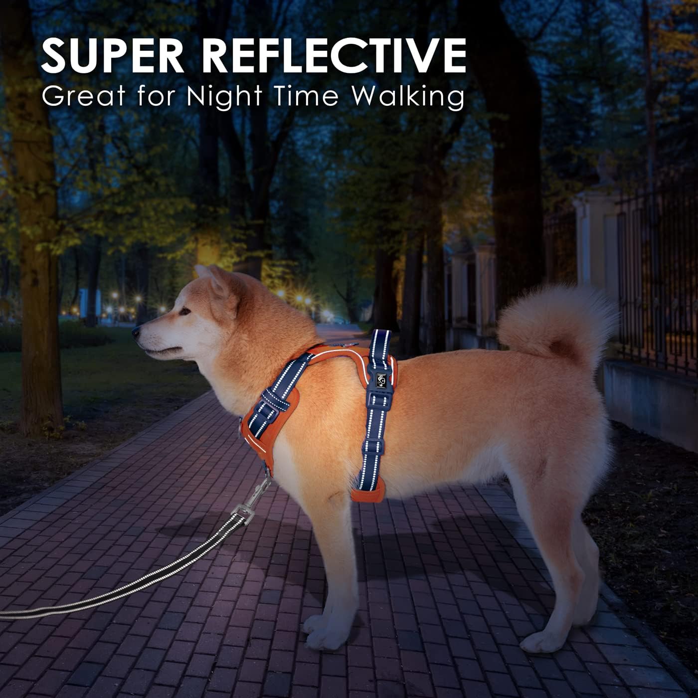 PHOEPET No Pull Dog Harness, Unique Colors Reflective Adjustable Dog Vest, with Soft Training Handle Metal Clips for Small Medium Large Dogs (Orange Base & Blue Straps,M)