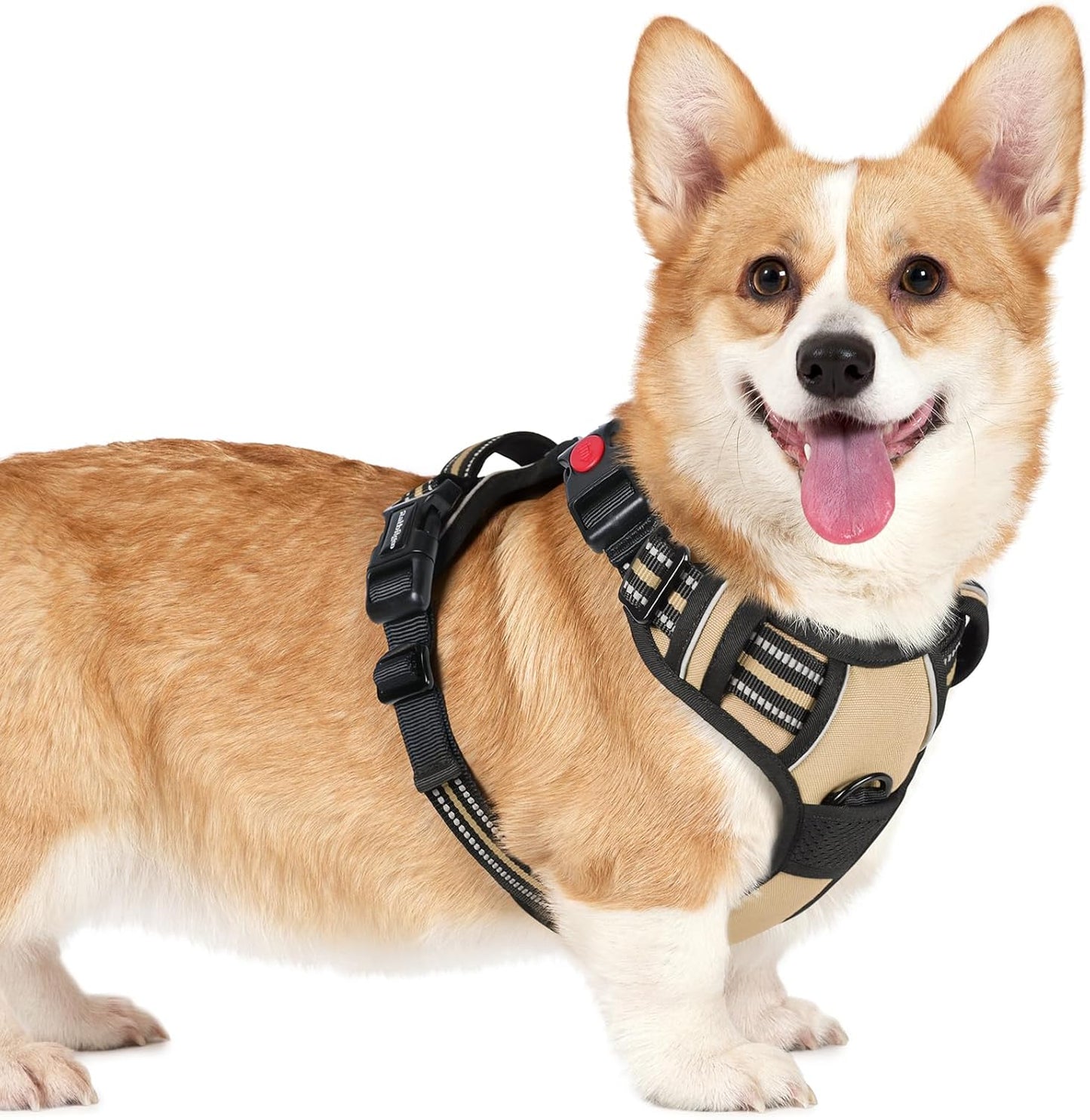 rabbitgoo Dog Harness Small Sized, No Pull Pet Harness with 3 Buckles, Adjustable Soft Padded Vest with Control Handle, Walking Reflective Pet Vest for Small Dogs, Beige, S
