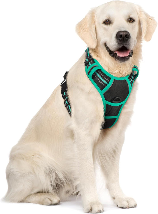 rabbitgoo Dog Harness No Pull with 2 Leash Clips, Adjustable Soft Padded, Reflective Oxford No Choke Pet Vest with Easy Control Handle for Large Dogs, Black & Turquoise, XL