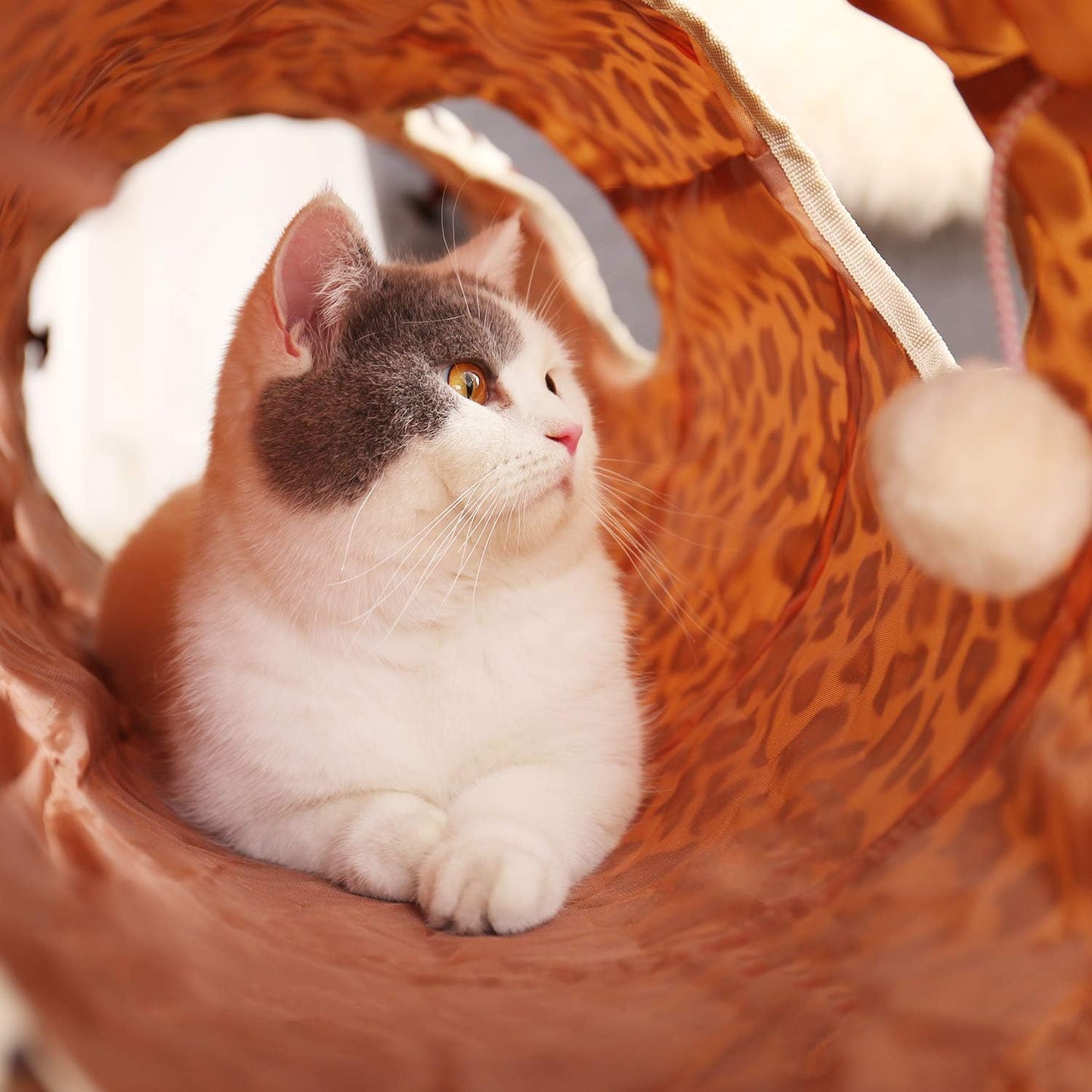 PAWZ Road XL Collapsible Cat Tunnel for Fat Cats & Rabbits - 51"x12" Extra Wide Pet Play Tunnel with 12-Inch Diameter for Large Cats, Small Dogs