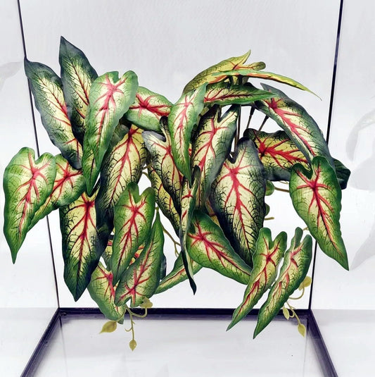 Reptile Plants for Terrarium, Amphibian Habitat Decor Artificial Hanging Plants with Suction Cup, Artificial Plants for Gecko Chameleon Snake Tortoise Tank Accessories. 2-Pack (Alocasia odora -A)