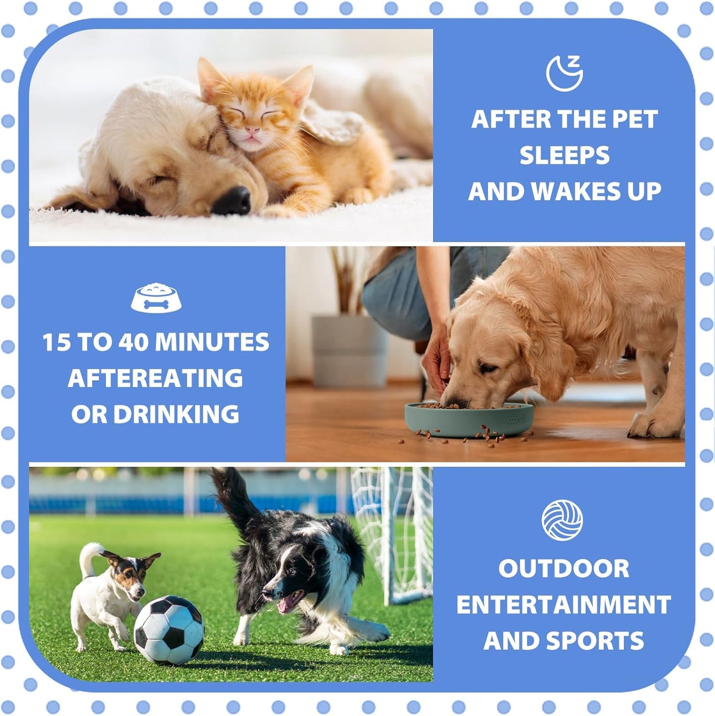 Potty Training Spray for Dogs,Puppy Potty Training Spray,Correct The Dog's Bad Defecation Behavior and Help You Train Your Dog to Go to The Toilet in The Right Place-100M