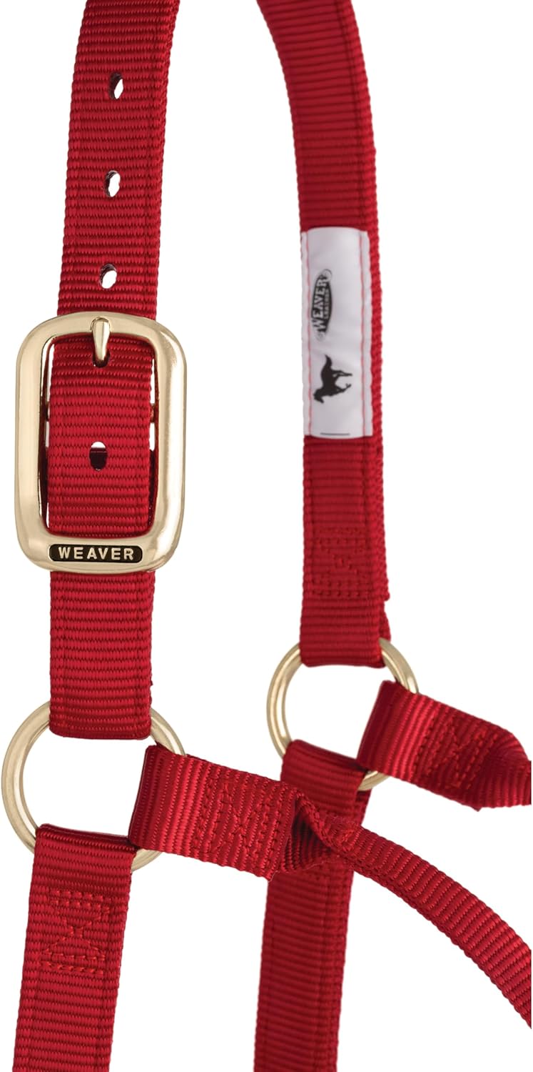 Weaver Equine Nylon Horse Halter, Triple-Ply Cheek Design, Original Non Adjustable Halters for Horses, Equine Tack,Average Size, Black