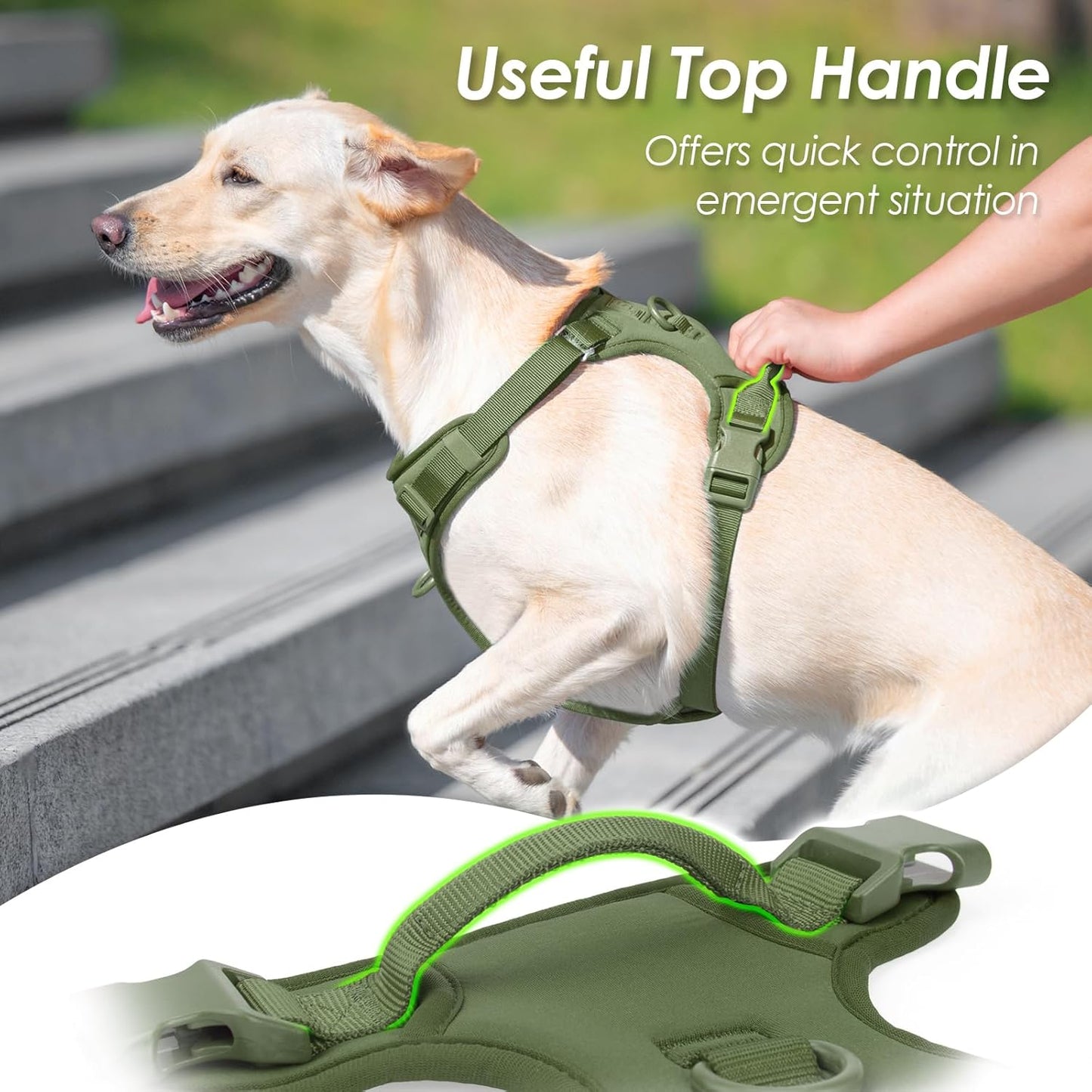 No Pull Dog Harness, Puppy Vest with Front Clip for Small Medium Large Sized Dog (Misty Green,S)