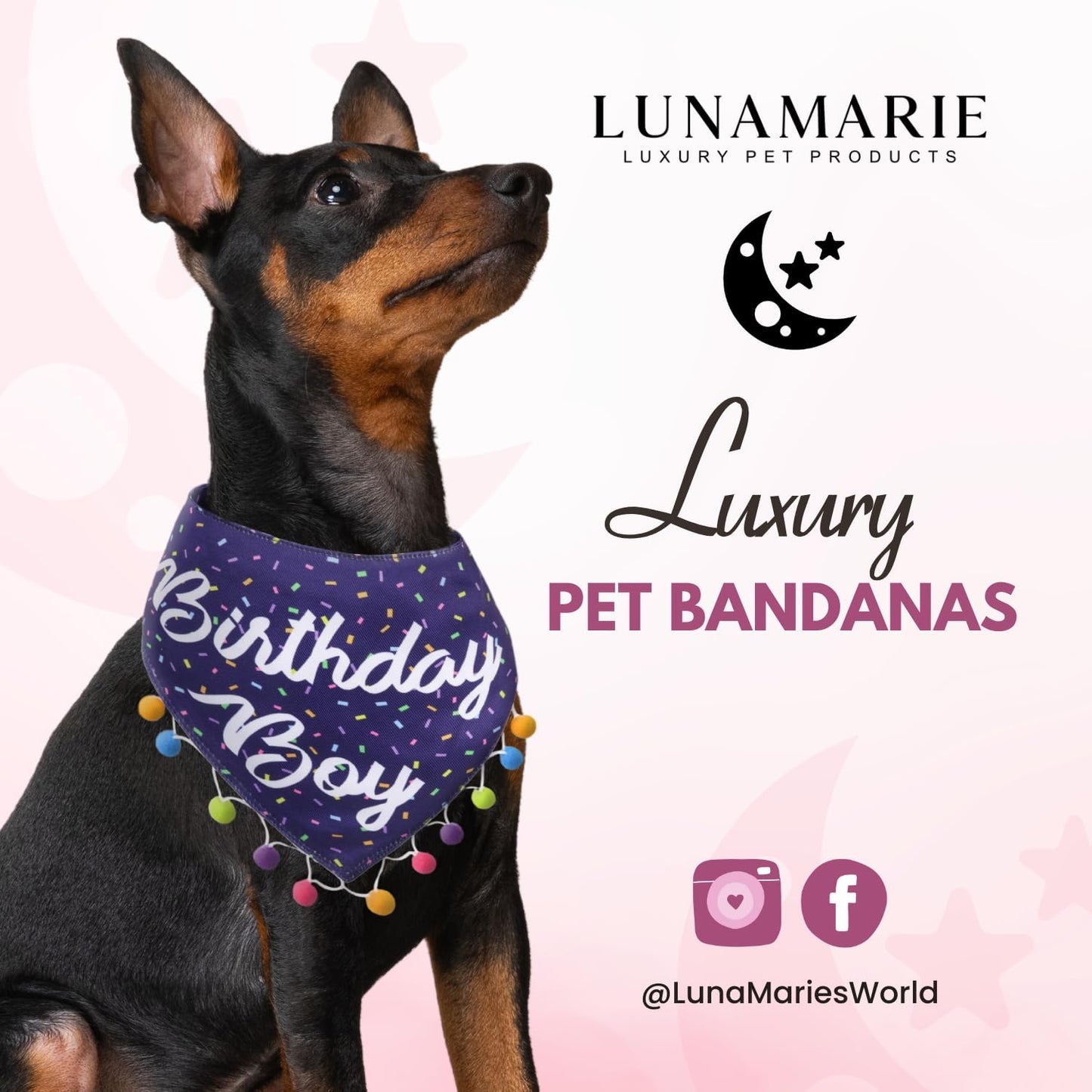 LunaMarie - Luxury Pet Birthday Bandanas -Premium & Silky Poly Fabric | 100% Handmade | Custom Shape Dual Layered (Birthday Boy, X-Small)
