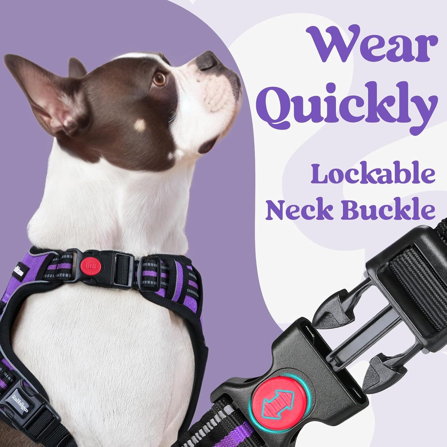 rabbitgoo Dog Harness Small Sized, No Pull Pet Harness with 3 Buckles, Adjustable Soft Padded Vest with Control Handle, Walking Reflective Pet Vest for Small Dogs, Purple, S