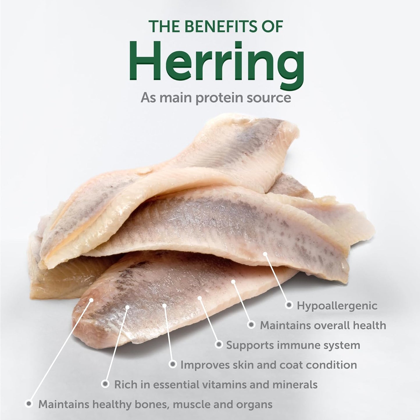 Nature's Protection Superior Care White Dogs Grain-Free Dry Dog Food - High Protein, Tear Stain Dog Food for Small & Mini Breeds Light Coated Adult Dogs, Fresh Pet Meal, Herring, 3.3 lb