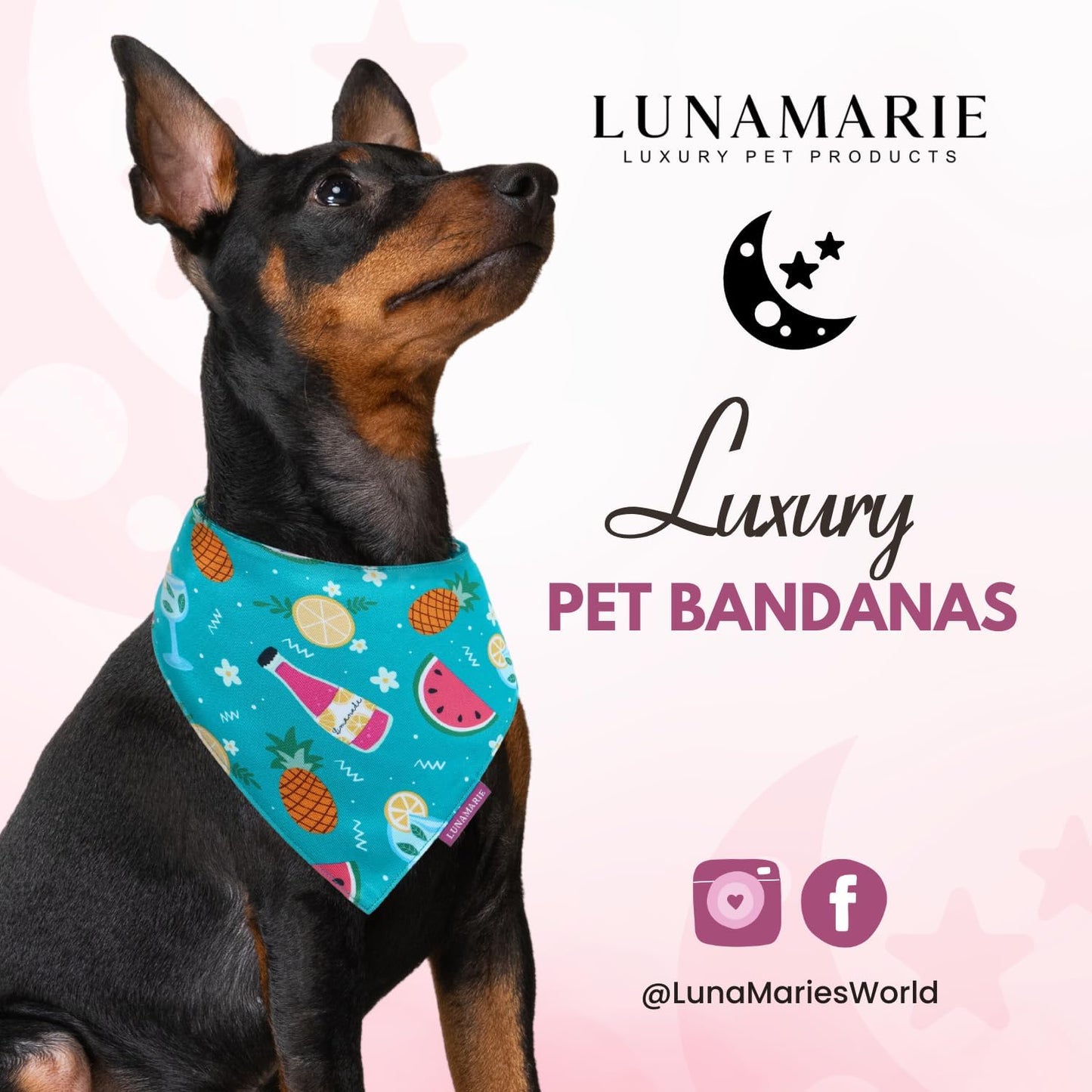 LunaMarie - Luxury Pet Birthday Bandanas -Premium & Silky Poly Fabric | 100% Handmade | Custom Shape Dual Layered (Sippin' Poolside, Small)