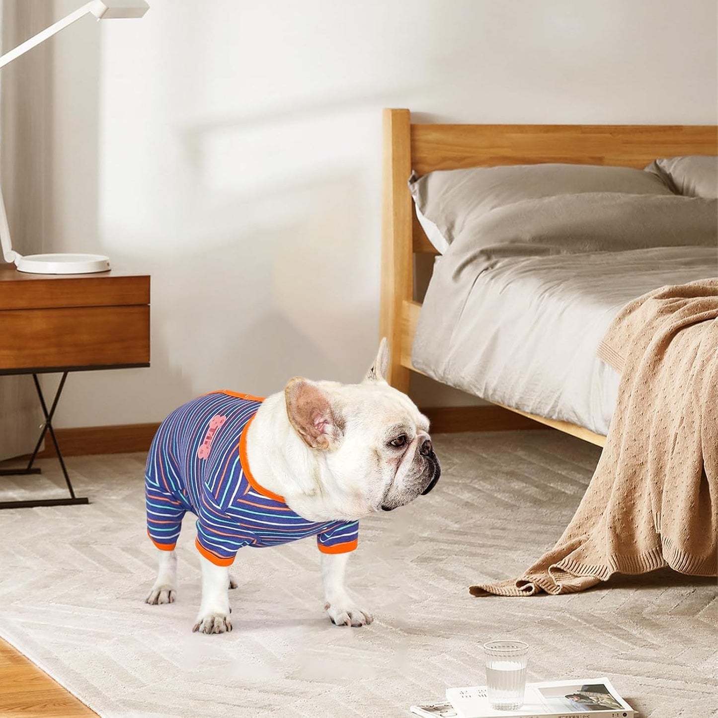 TONY HOBY Dog Pajamas, Male Dog Warm Pajamas with Thermal, Dogs Jumpsuit Shirt for Small Medium Dogs (Navy Blue, Boy, M)