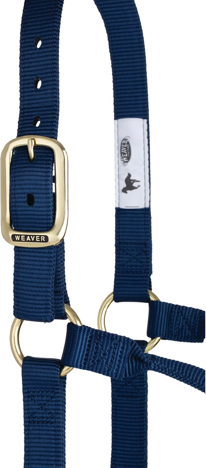 Weaver Equine Nylon Horse Halter, Triple-Ply Cheek Design, Original Non Adjustable Halters for Horses, Equine Tack,Average Size, Black