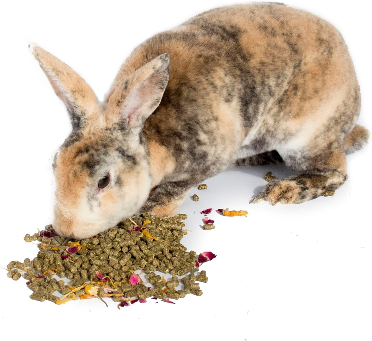 Pampered Chicken Mama Herbal Rabbit Feed 25 LB Bag: Premium Rabbit Food Made with Timothy Hay & Organic Herbs