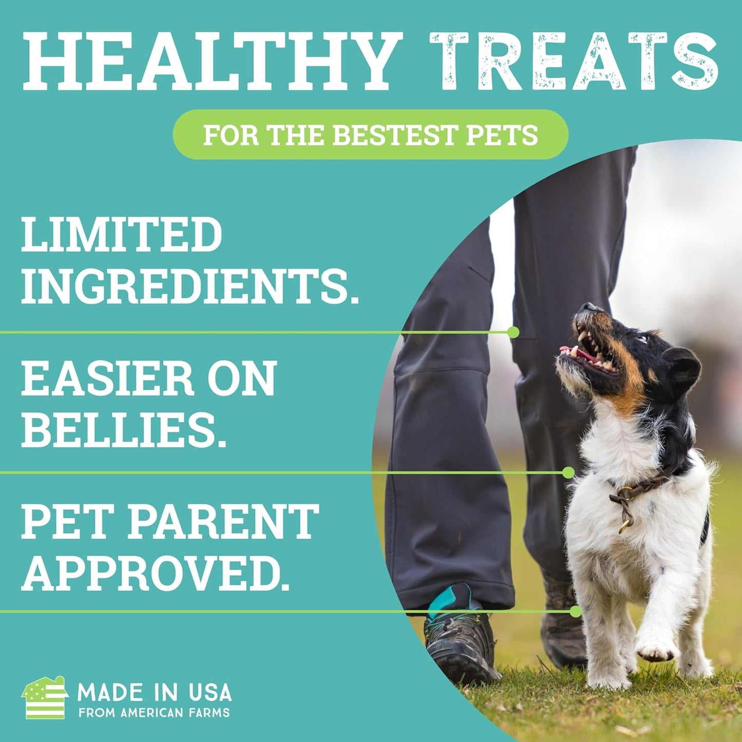 etta says! Training Treats - All Natural Cheese Soft Treats for Dogs - Made in The USA (16 Oz Pack of 1)